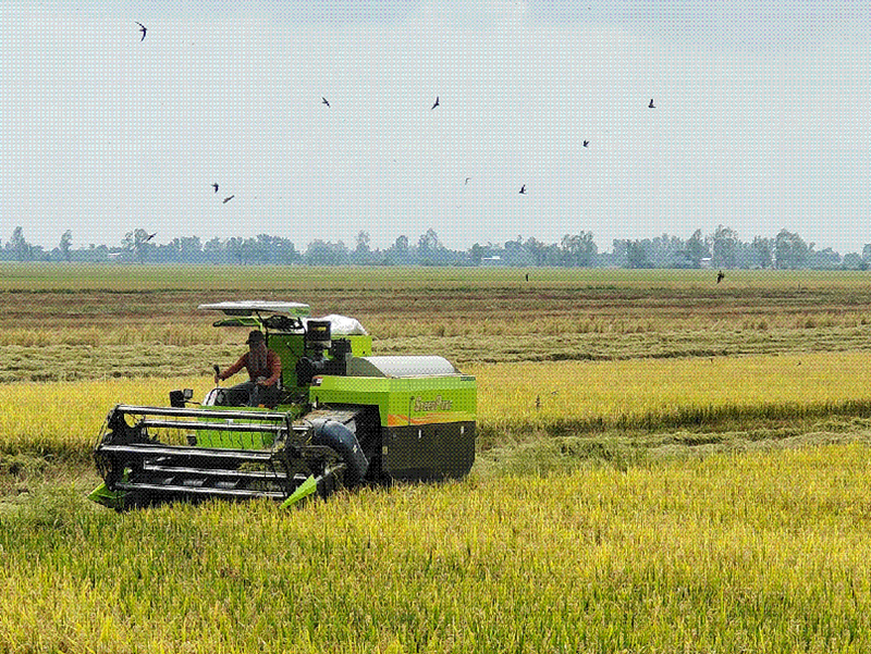ZOOMLION ZL105 Rice Harvester Goes To Sea In Batches